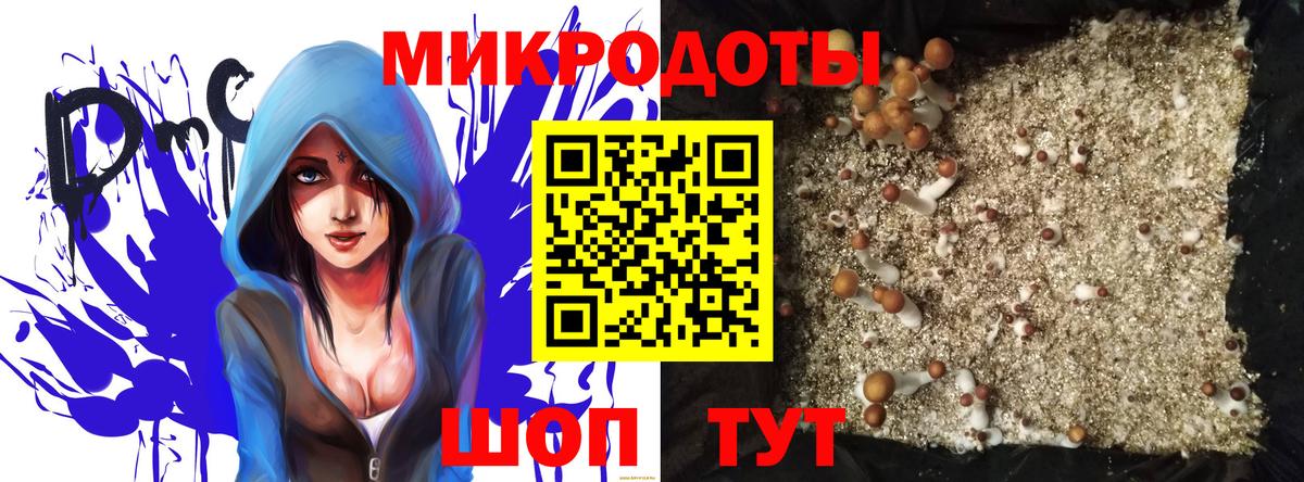 Псилоцибиновые грибы мухоморы Гатчина