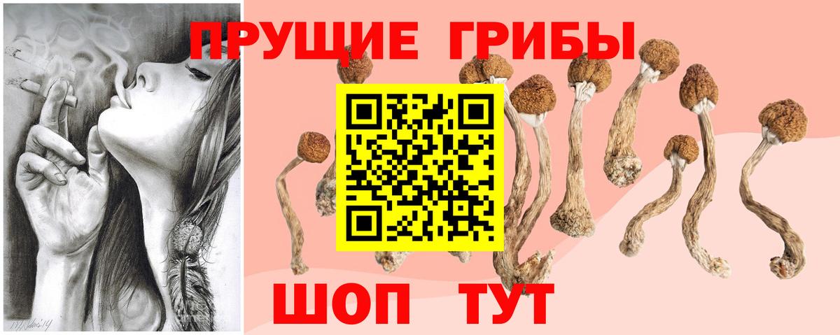 Меф  ГАШ  Гатчина  Вход с VPN  Меф кристаллы  Марихуана 