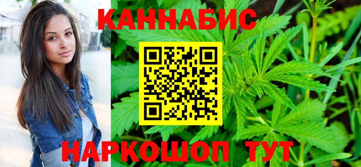Марихуана планчик  Канабис сатива  Каннабис Bruce Banner  Гатчина  Вход с VPN  Шишки марихуана план 